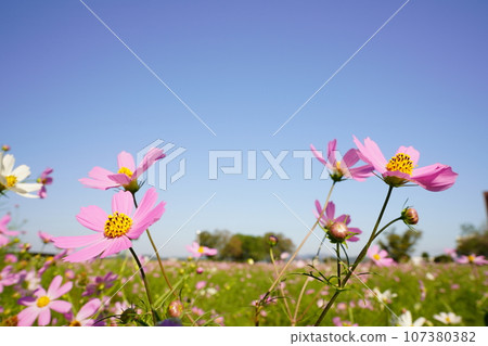 cosmos 5179 107380382