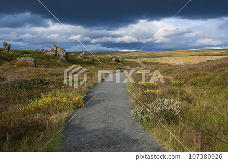 Walking trail on Skjalfandafljot River to Godafoss Falls in northern Iceland. 107380926