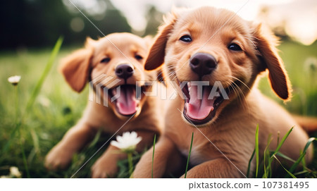 Two-shot “AI generated image” of a puppy with a cute smile 107381495