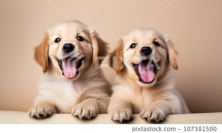 可愛的金毛小狗的兩張照片“AI 生成圖像” 107381500