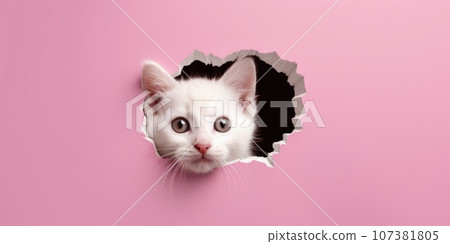 Cute Kitty peeking out of a hole in wall, torn hole, empty copy space frame, mockup. Generative AI weber. 107381805