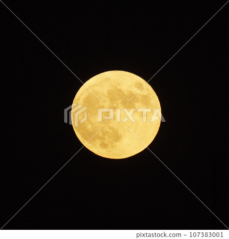 Harvest Moon_Moon20230929 Harvest Moon_Moon20230929 107383001