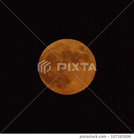 Harvest Moon_Moon20230929 Harvest Moon_Moon20230929 107383006