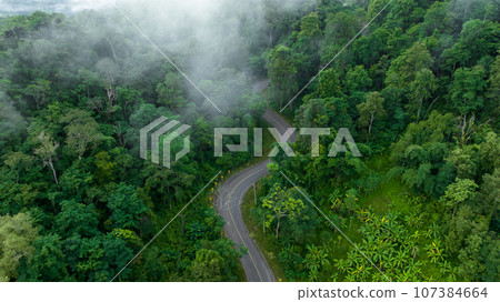 Aerial top view of road in green tree forest, Top view from drone of rural road, mountains, forest. Beautiful landscape with roadway, Aerial view of road in the middle of the forest, Road curve on Aerial top view of road in green tree forest, Top view from drone of rural road, mountains, forest. Beautiful landscape with roadway, Aerial view of road in the middle of the forest, Road curve on 107384664