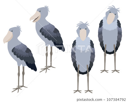 Shoebill material set ③ 107384792