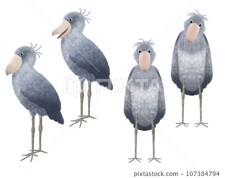 鯨頭鸛材料組 ⑤ 鯨頭鸛材料組 ⑤ 107384794