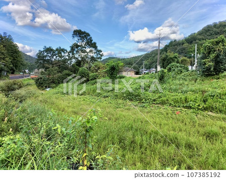 初秋的鄉村風景 107385192