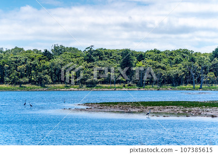 Notsuke Peninsula, feared to disappear in 100 years due to crustal movement, sand spit, animal paradise, wild birds 107385615