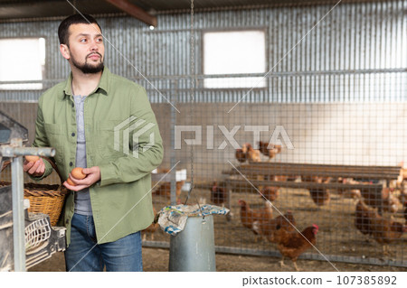 Young bearded farmer collecting eggs in chicken coop 107385892