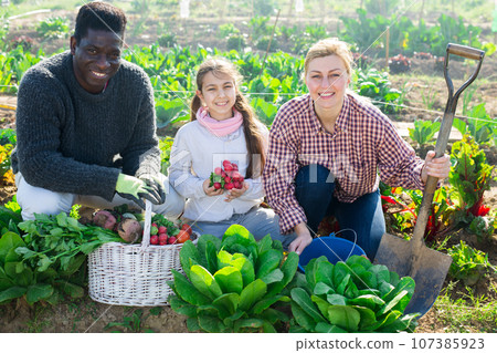 Portrait of a multinational family in the vegetable garden with a basket of harvested crops 107385923