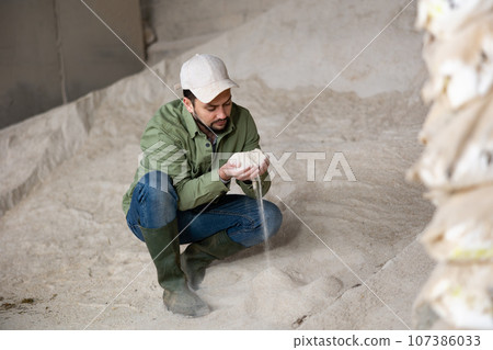 Farmer evaluating quality of fodder Farmer evaluating quality of fodder 107386033