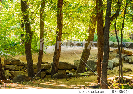 Sunny view of the nature landscape of Martin Nature Park Sunny view of the nature landscape of Martin Nature Park 107386044