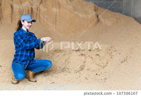 Female farmer holding handful of soybean hulls in farm storage 107386107