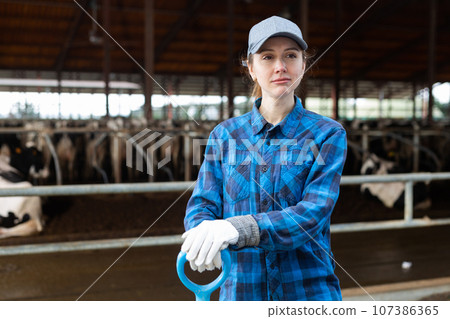 Woman farmer with shovel working and taking care cows Woman farmer with shovel working and taking care cows 107386365