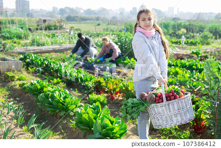 Portrait of a teenage girl with a basket of crops in the vegetable garden 107386412