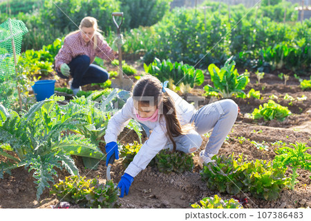 teenage girl with scoop caring for plants teenage girl with scoop caring for plants 107386483
