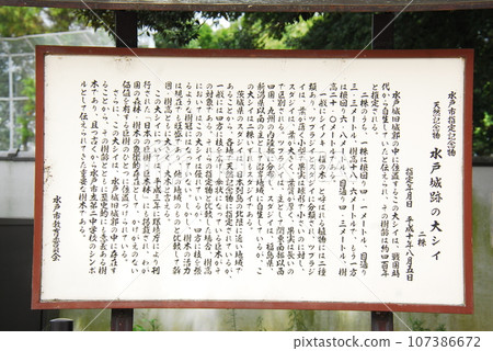 「水戶城跡」的解說牌（茨城縣水戶市） 107386672