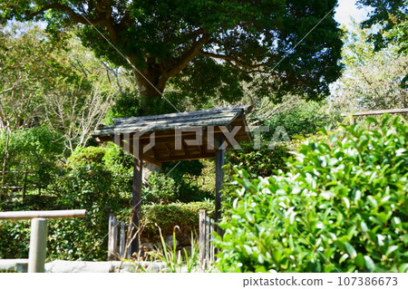 shade of trees and garden gate shade of trees and garden gate 107386673