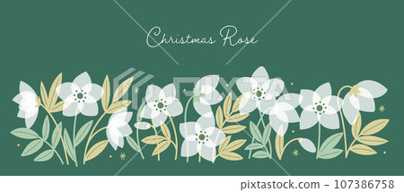 christmas rose decoration christmas rose decoration 107386758
