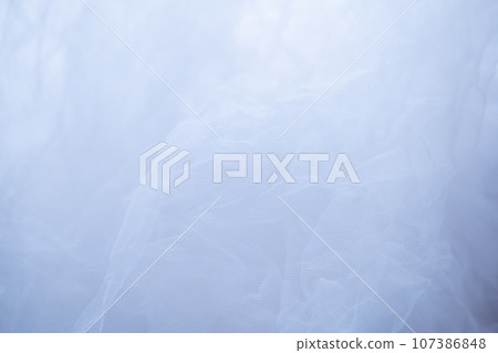 Apparel Dress Up Tulle White White Blue Copy Space Costume Creation Apparel Dress Up Tulle White White Blue Copy Space Costume Creation 107386848