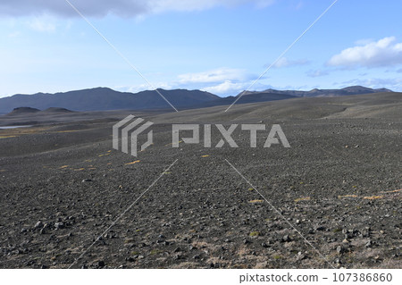 View of expansive black lava fields along Ring Road in Iceland. 107386860