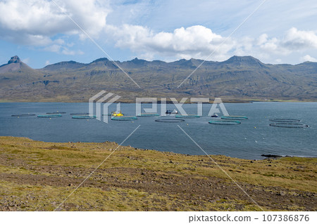 Fish farm in Berufjordur fjord in eastern Iceland from Ring Road on sunny day. Fish farm in Berufjordur fjord in eastern Iceland from Ring Road on sunny day. 107386876