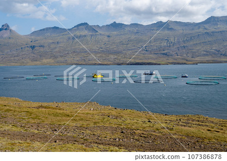 Fish farm in Berufjordur fjord in eastern Iceland from Ring Road on sunny day. 107386878