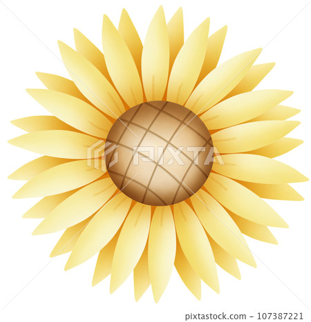 Honey flavored ice cream 107387221