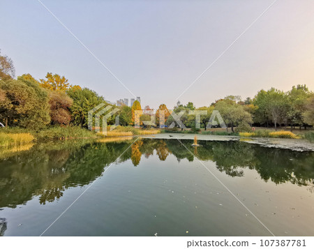 Quiet peaceful pond  and Fall maple leaves foliage in Autumn in Seoul Forest park in Seongdong-Gu area. 107387781