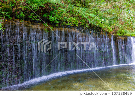 Shiraito Falls in Karuizawa Town, Kitasaku District, Nagano Prefecture Shiraito Falls in Karuizawa Town, Kitasaku District, Nagano Prefecture 107388499