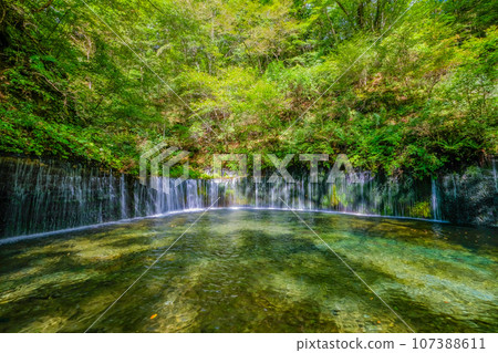 Shiraito瀑佈在長野縣輕井澤鎮 Shiraito瀑佈在長野縣輕井澤鎮 107388611