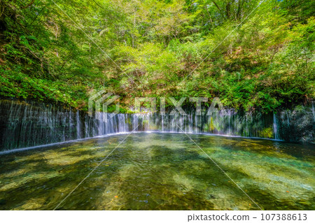 Shiraito瀑佈在長野縣輕井澤鎮 Shiraito瀑佈在長野縣輕井澤鎮 107388613