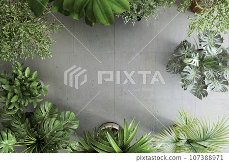 室內植物和地板背景 107388971