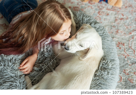 Little girl playing with a golden retriever puppy at home. 107389423
