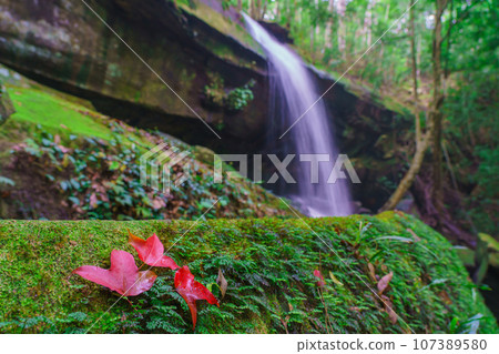 Waterfall at Phu Kradueng national park, Loei Thailand, beautiful landscape of waterfalls in rainforest Waterfall at Phu Kradueng national park, Loei Thailand, beautiful landscape of waterfalls in rainforest 107389580