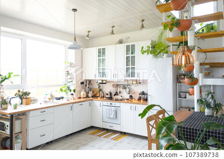 The general plan of a light white modern rustic kitchen with a modular metal staircase decorated with potted plants. Interior of a house with homeplants The general plan of a light white modern rustic kitchen with a modular metal staircase decorated with potted plants. Interior of a house with homeplants 107389738