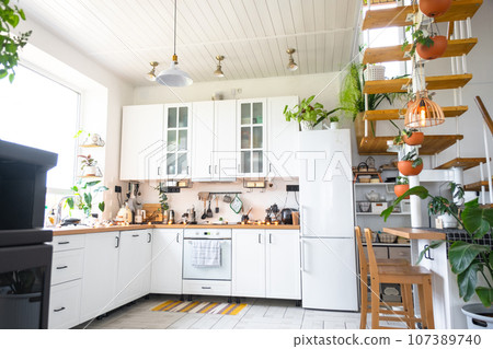 The general plan of a light white modern rustic kitchen with a modular metal staircase decorated with potted plants. Interior of a house with homeplants 107389740