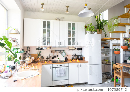 The general plan of a light white modern rustic kitchen with a modular metal staircase decorated with potted plants. Interior of a house with homeplants 107389742
