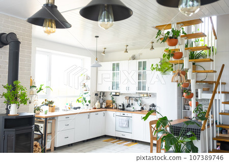 The general plan of a light white modern rustic kitchen with a modular metal staircase decorated with potted plants. Interior of a house with homeplants The general plan of a light white modern rustic kitchen with a modular metal staircase decorated with potted plants. Interior of a house with homeplants 107389746