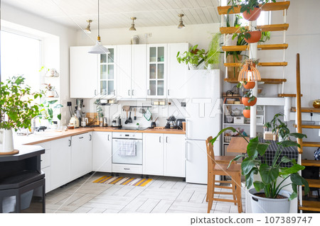 The general plan of a light white modern rustic kitchen with a modular metal staircase decorated with potted plants. Interior of a house with homeplants The general plan of a light white modern rustic kitchen with a modular metal staircase decorated with potted plants. Interior of a house with homeplants 107389747