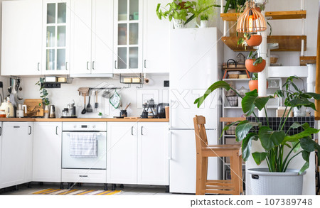 The general plan of a light white modern rustic kitchen with a modular metal staircase decorated with potted plants. Interior of a house with homeplants The general plan of a light white modern rustic kitchen with a modular metal staircase decorated with potted plants. Interior of a house with homeplants 107389748