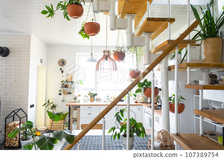 The general plan of a light white modern rustic kitchen with a modular metal staircase decorated with potted plants. Interior of a house with homeplants The general plan of a light white modern rustic kitchen with a modular metal staircase decorated with potted plants. Interior of a house with homeplants 107389754