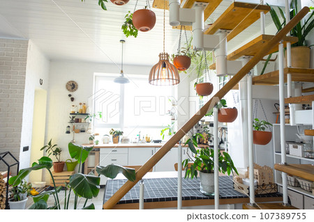 The general plan of a light white modern rustic kitchen with a modular metal staircase decorated with potted plants. Interior of a house with homeplants The general plan of a light white modern rustic kitchen with a modular metal staircase decorated with potted plants. Interior of a house with homeplants 107389755