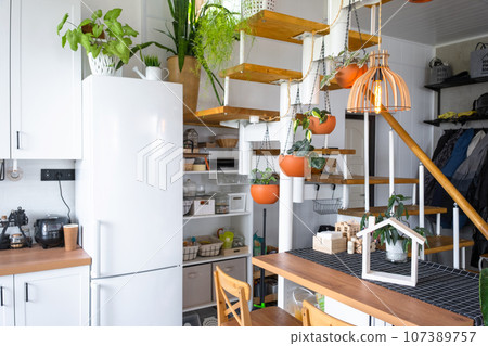 The general plan of a light white modern rustic kitchen with a modular metal staircase decorated with potted plants. Interior of a house with homeplants The general plan of a light white modern rustic kitchen with a modular metal staircase decorated with potted plants. Interior of a house with homeplants 107389757