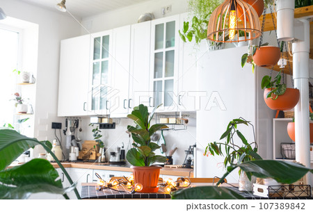The general plan of a light white modern rustic kitchen with a modular metal staircase decorated with potted plants. Interior of a house with homeplants 107389842
