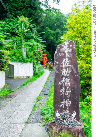 【神奈川縣】鎌倉的佐助稻荷神社，以朱紅色的鳥居聞名 107390684