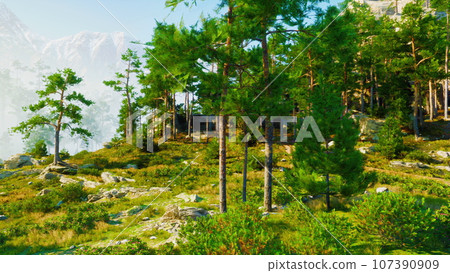 A large rock formation dense with pine trees A large rock formation dense with pine trees 107390909