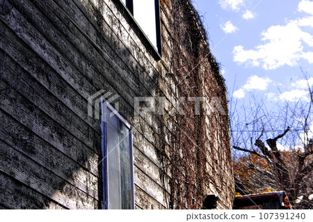 Autumn street walk Autumn street walk 107391240