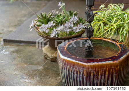 chain gutter where rainwater drips 107391362