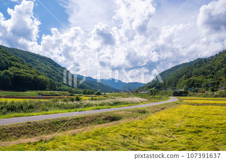 從上田市初秋的鄉村眺望淺間山 107391637